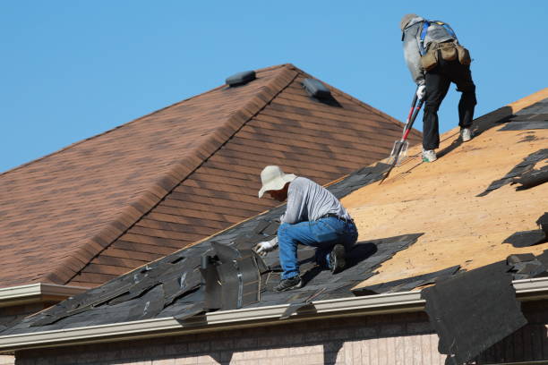 Best Skylight Installation and Repair  in Jourdanton, TX